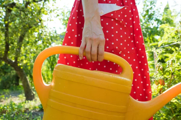 Vrouw die de planten water geeft — Stockfoto