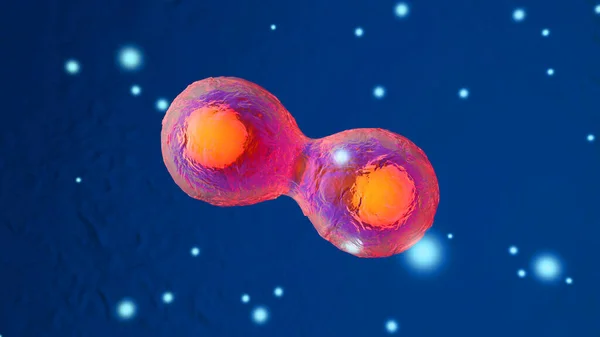 Podział komórek macierzystych — Zdjęcie stockowe