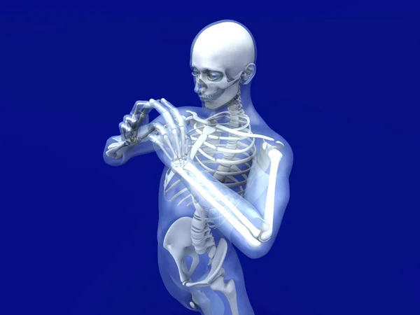 Vizualizace mužské lidské anatomie — Stock fotografie