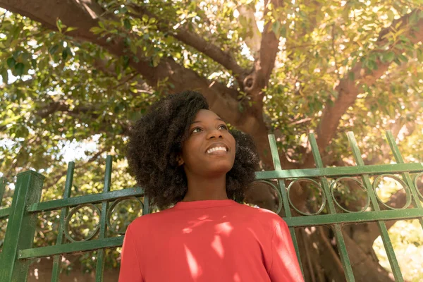 Una bella donna nera in un parco — Foto Stock
