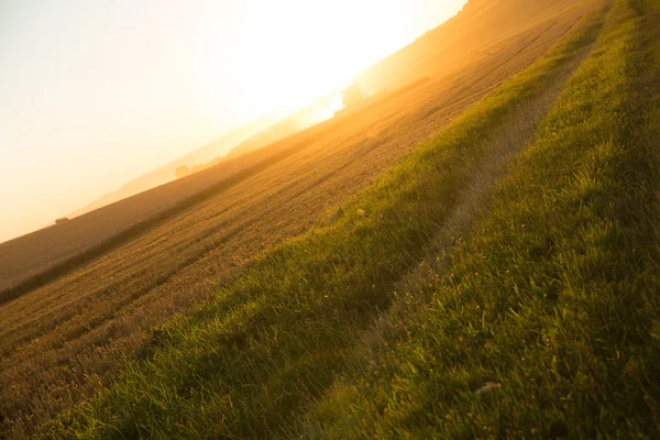 Закат над собранным полем — стоковое фото