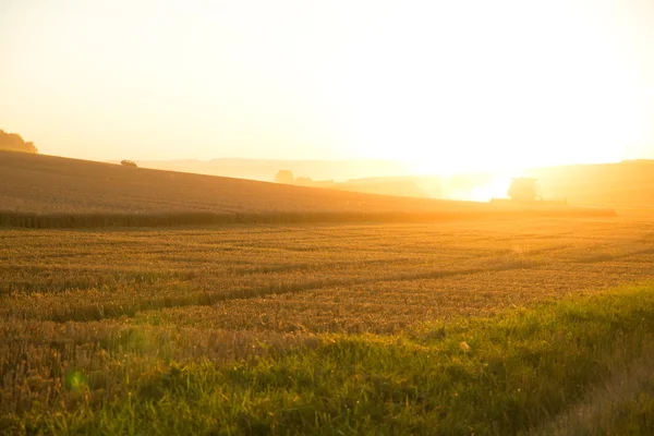 Günbatımı hasat bir alanın üzerinde — Stok fotoğraf