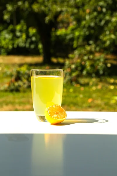 Přírodní limonády v zahradě — Stock fotografie