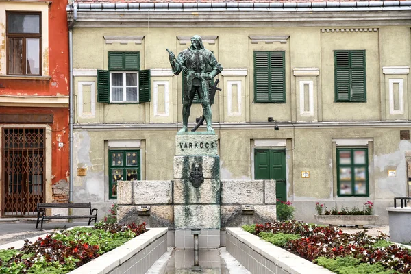 Statua di Varkocs a Sopron — Foto Stock