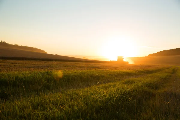 Harvesting in the sunset – stockfoto