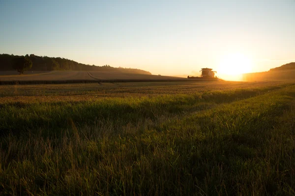 Cosecha en la puesta del sol — Foto de Stock