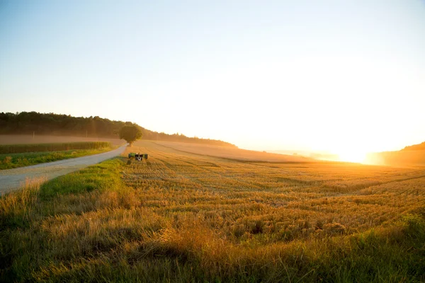 Solnedgang over en høstet mark - Stock-foto