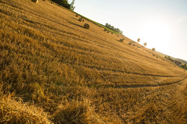 Evening after the Harvest — Stock Photo, Image