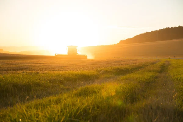 Colheita ao pôr-do-sol — Fotografia de Stock