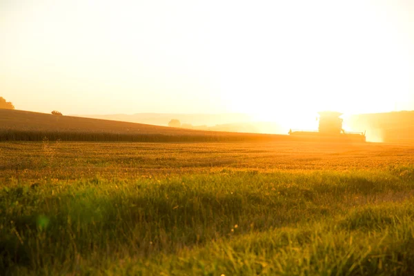 Harvesting in the sunset - Stock-foto