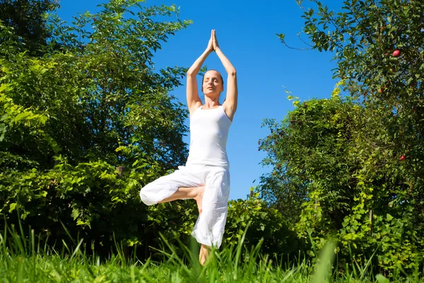 Yoga nel parco — Foto Stock