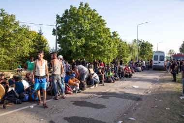 Waiting line of Refugees in Tovarnik clipart