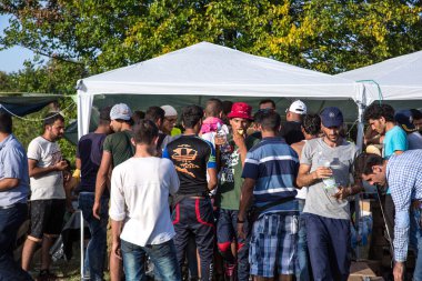 Refugees access basic supplies in Tovarnik clipart