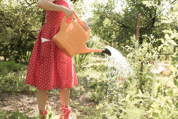 Mulher regando as plantas — Fotografia de Stock