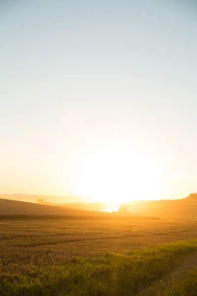 Puesta de sol sobre un campo cosechado —  Fotos de Stock