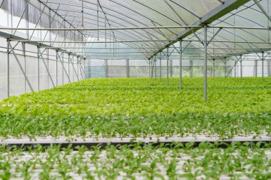 Ofis Binası greening