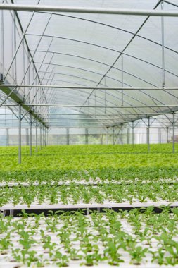 Ofis Binası greening