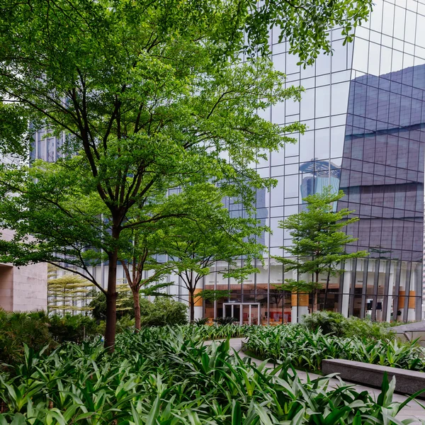 The greening of the office building — Stock Photo, Image