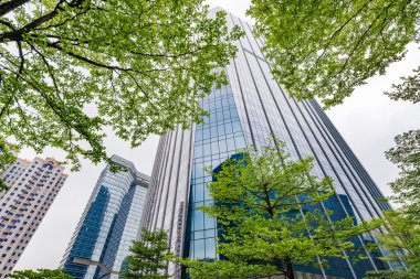Ofis Binası greening