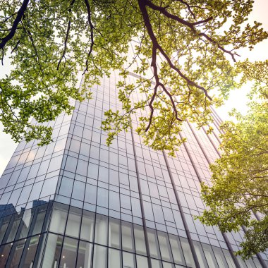 Ofis Binası greening