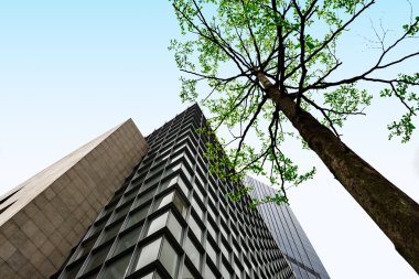 Ofis Binası greening
