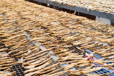 Kuru salatalık Turşu yapımında kullanılan