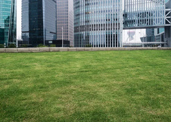 The lawn in the city