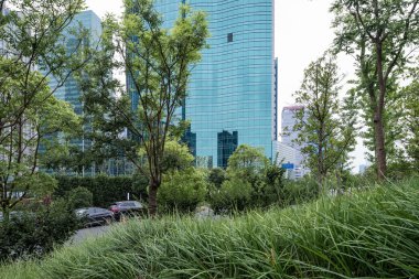 ofis binaları ve ahşap platformlar