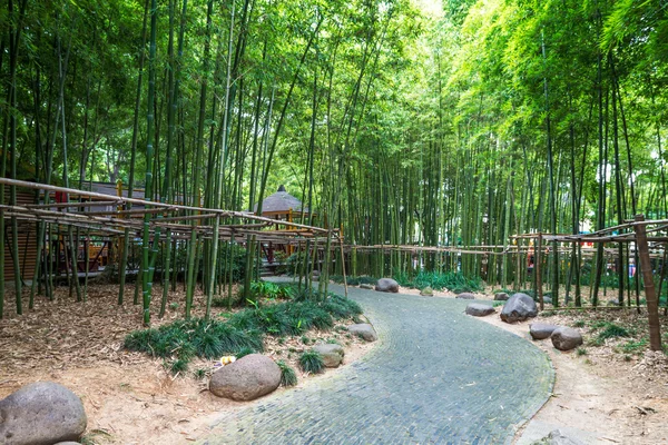 Bosque de bambú en China — Foto de Stock