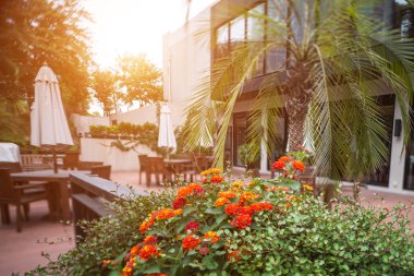 Klasik eski kahve dükkanında shanghai