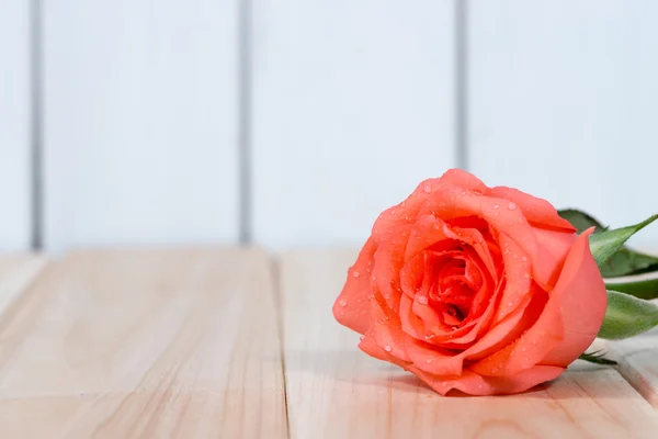 Red roses — Stock Photo, Image