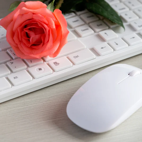 The mouse and keyboard — Stock Photo, Image