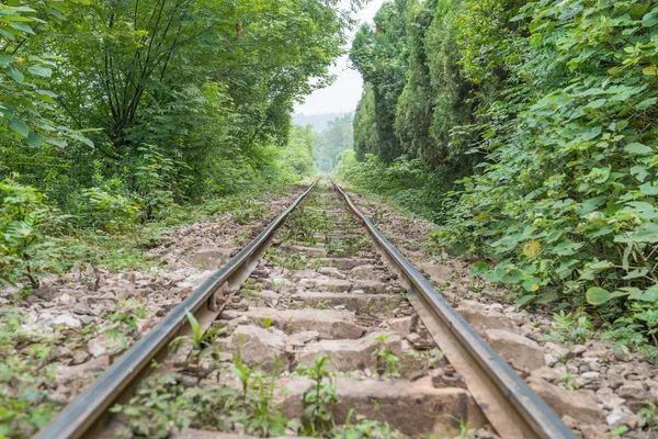 Eisenbahn — Stockfoto