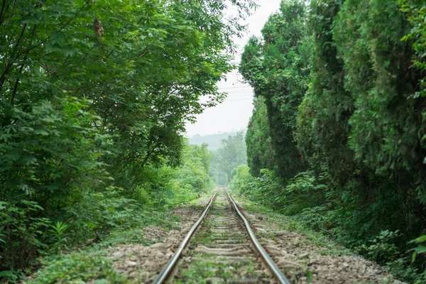 Ferrocarril — Foto de Stock