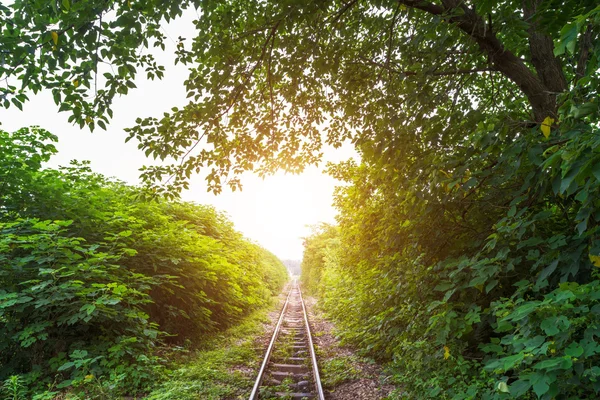 Železnice — Stock fotografie