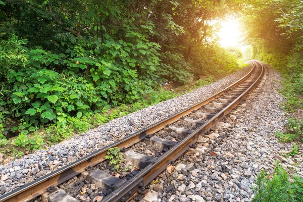 Railway — Stock Photo, Image