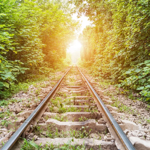 Ferrocarril — Foto de Stock