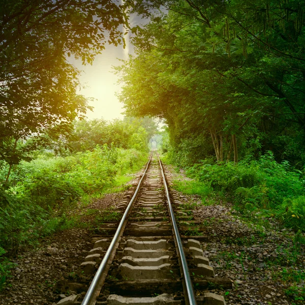 Demiryolu — Stok fotoğraf