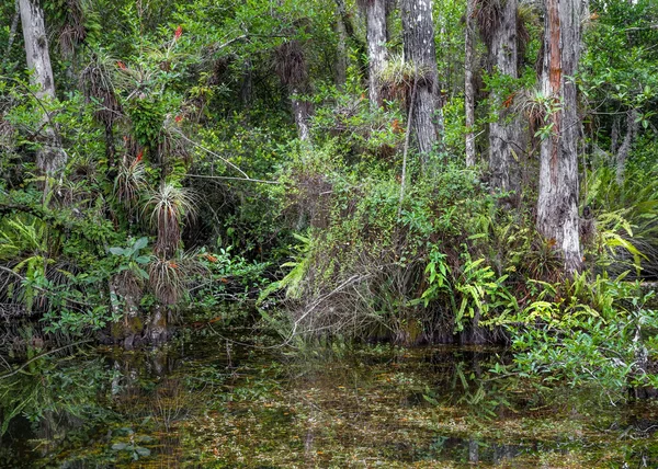 Zoet water Strand — Stockfoto