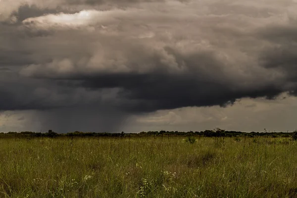 Tempestade sobre os Everglades Fotos De Bancos De Imagens