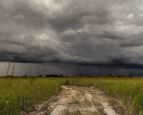 Storm Over the Everglades — Stock Photo, Image