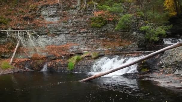 Kaskader Längs Raymondskill Creek Nära Delaware Floden Delaware Water Gap — Stockvideo