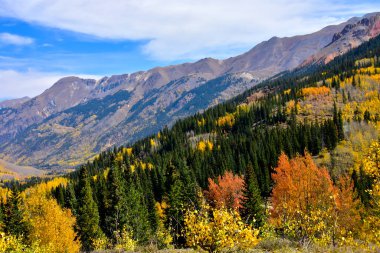 San Juan Skyway, Colorado 'da güzel sonbahar renkleri.