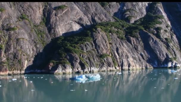 Льодовик Сойєр Англ Sawyer Glacier Трейсі Арм Фіорд Поблизу Джуно — стокове відео