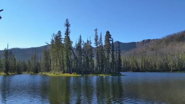 Sylvan Lake Entlang Der East Entrance Road Yellowstone National Park — Stockvideo