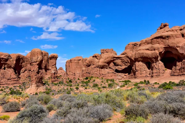 Rode Rotsen Salie Borstel Arches National Park Utah — Stockfoto