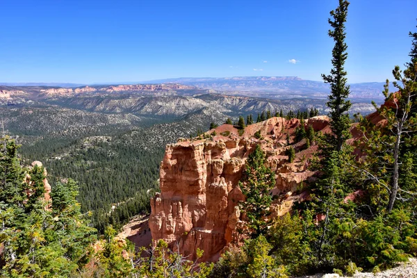 Red Hoodoos Bij Rainbow Point Bryce Canyon National Park Utah — Stockfoto