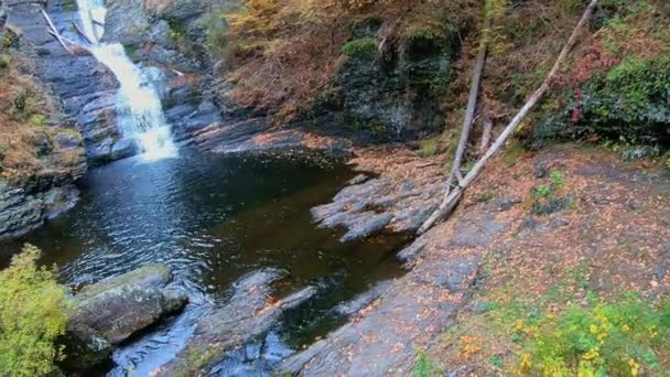 Mały Ambling Potoku Pobliżu Rzeki Delaware Nazwie Flat Brook — Wideo stockowe