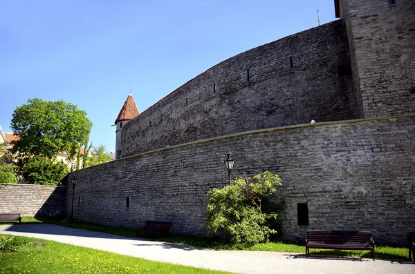 Alte Stadtmauer tallinn estland — Stockfoto