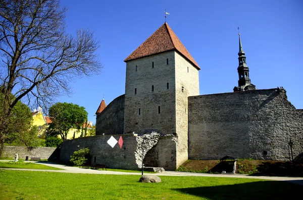 Gamla staden Wall Tallinn Estland — Stockfoto